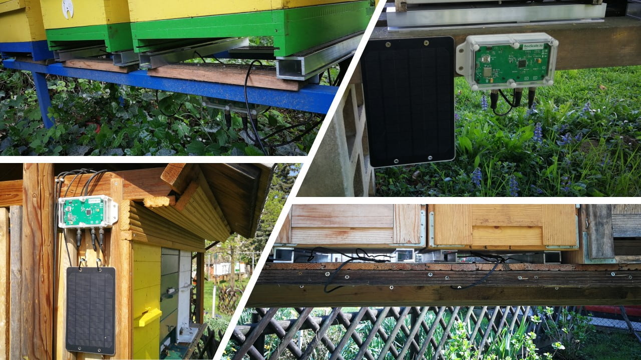 Esempi di montaggio bilancia per alveare