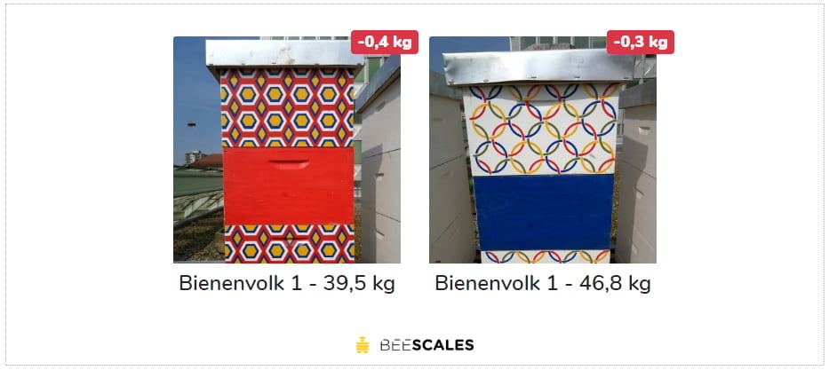 Web widget per bilancia per alveare