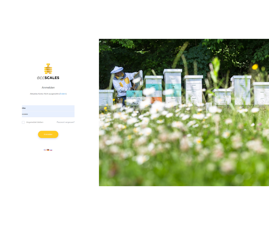 Portale web per bilance per alveari