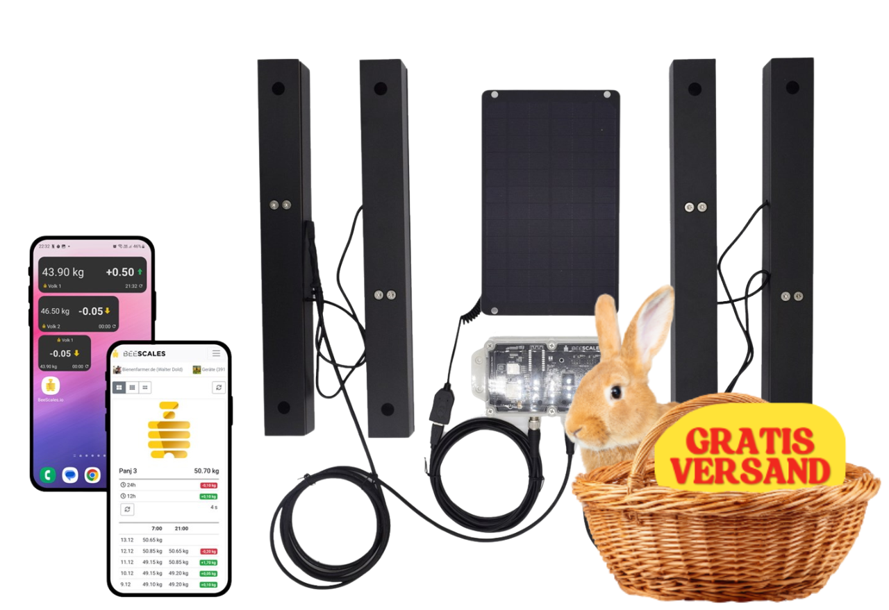 Bilancia per alveari per il monitoraggio di due alveari + GPS e allarme antifurto, 4G NB-IoT