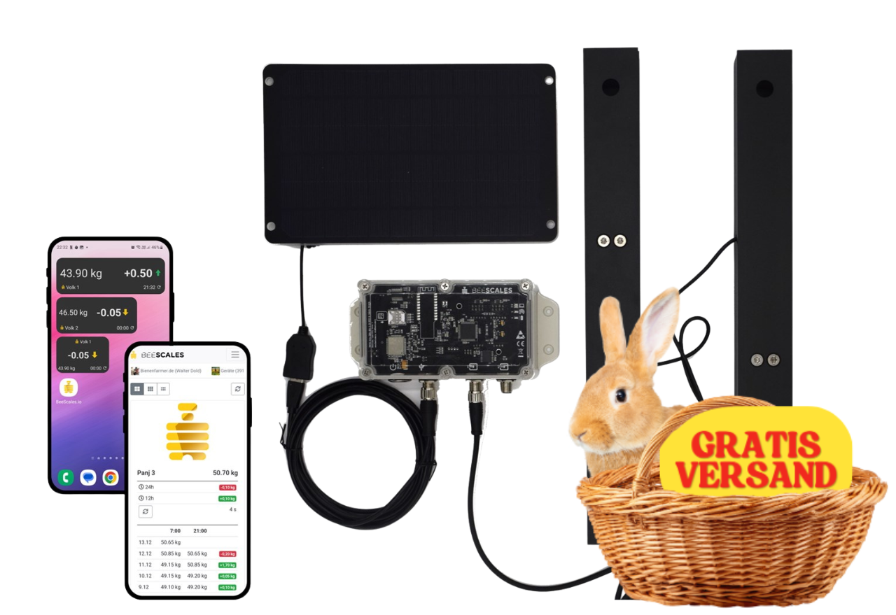 Bilancia per alveari per il monitoraggio di fino a 2 alveari + GPS e allarme antifurto, 4G NB-IoT