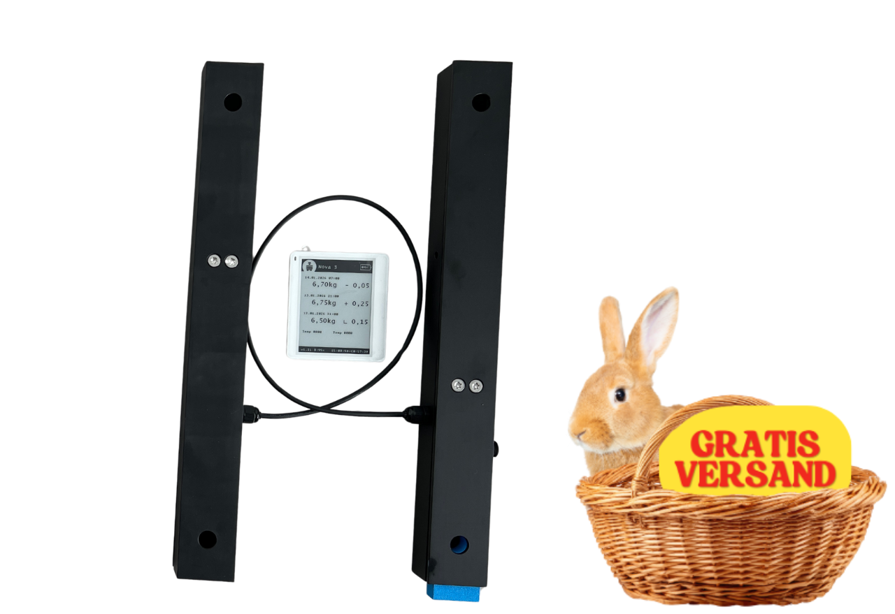 Beescales Compact bilancia per una colonia con display wireless