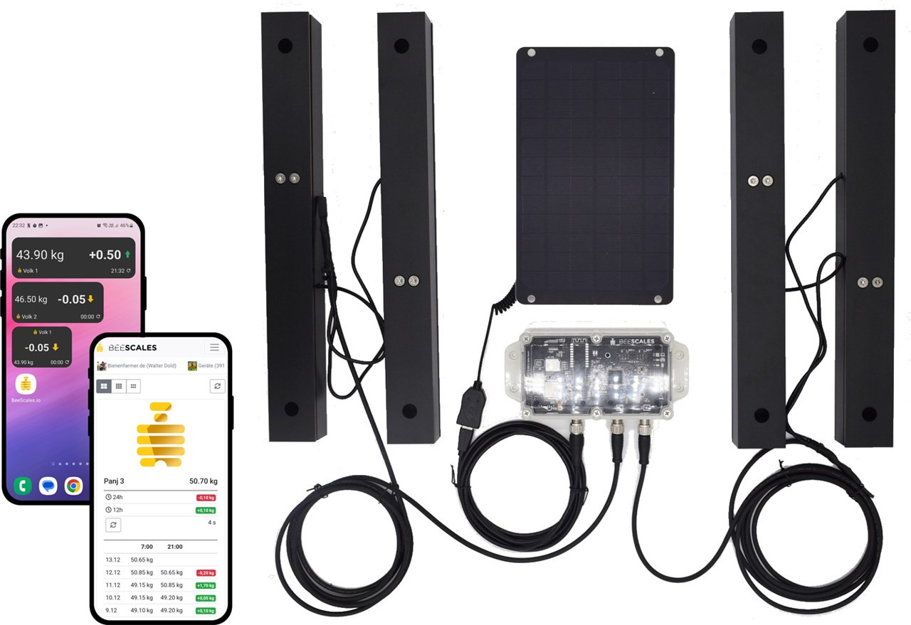 Bilance per alveare & bilance per apicoltori