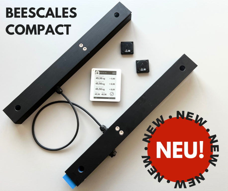 Beescales Compact bilancia per una colonia con display wireless